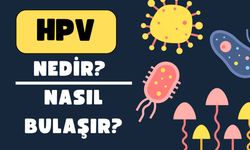 HPV Nedir? İnsan Papilloma Virüsü Hakkında Bilmeniz Gerekenler