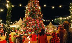 Bu şehirlerde yılbaşı kutlanmayacak!