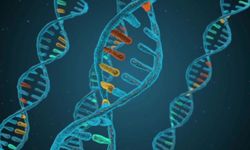 Uzun yaşamının sırrı ortaya çıktı! Tam 140 yıl yaşadı