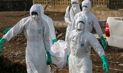 Yeni salgına dikkat: 45 gün kuralı açıklandı!