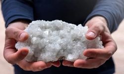 Kansere çare olduğu kanıtlandı! Dünyada en çok Türkiye'de var