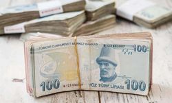 Vatandaşlık maaşı nedir? Vatandaşlık maaşını kimler alabilecek