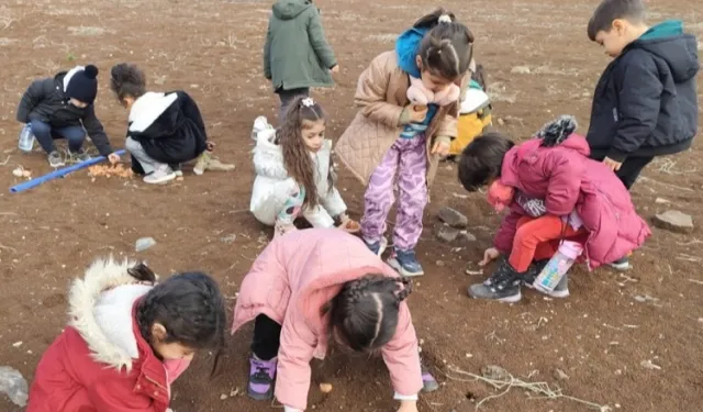 Diyarbakırlı çocuklar meşe tohumlarını toprakla buluşturdu