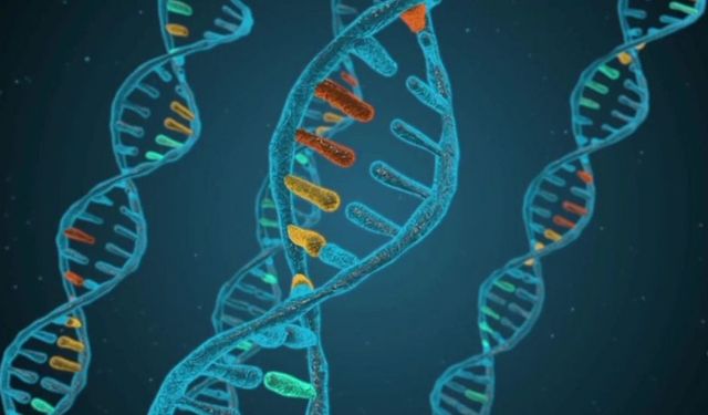 Uzun yaşamının sırrı ortaya çıktı! Tam 140 yıl yaşadı