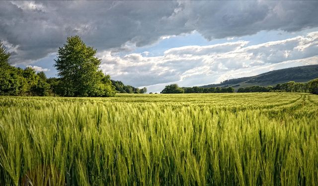 İstanbul'un değerli yerinde 500m arsa şansı: Devlet bu rakama satıyor