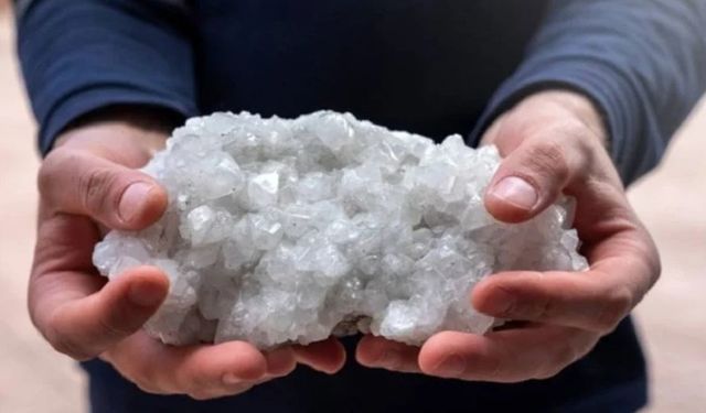 Kansere çare olduğu kanıtlandı! Dünyada en çok Türkiye'de var