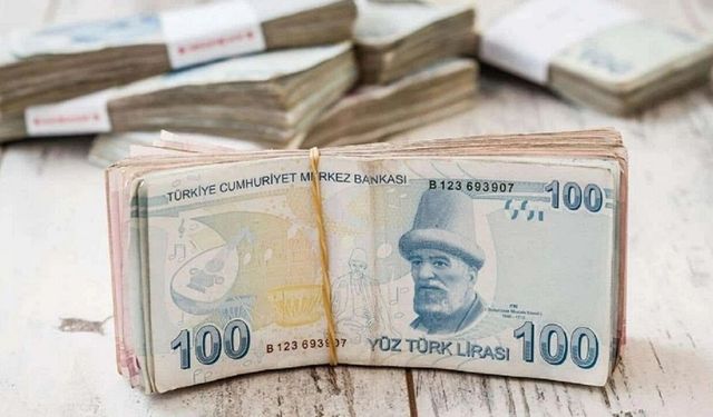 Vatandaşlık maaşı nedir? Vatandaşlık maaşını kimler alabilecek