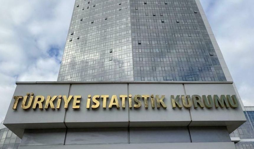 TÜİK icra ile karşı karşıya! Tazminat davasını kaybetti