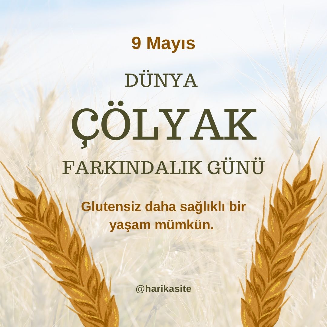 9Mayısdünyaçölyakgünü